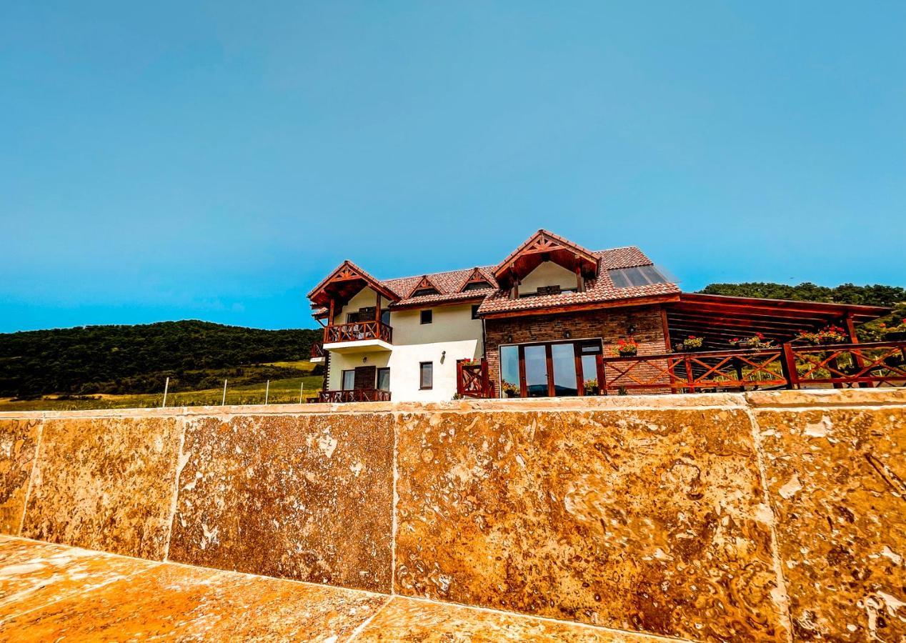 Pensiunea Balkan Gornea Exterior photo